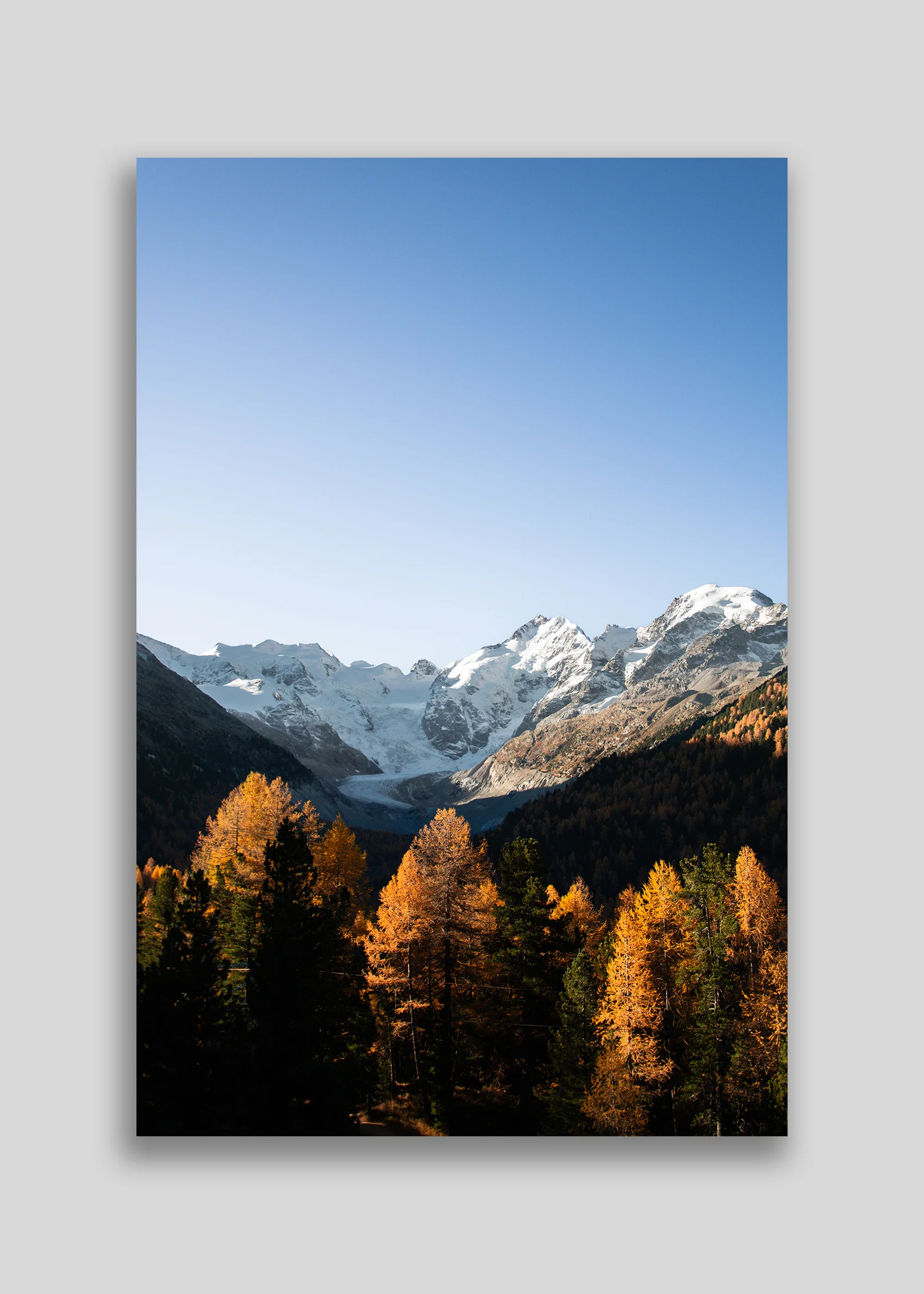 2597 - Morteratsch - ALU DIBOND