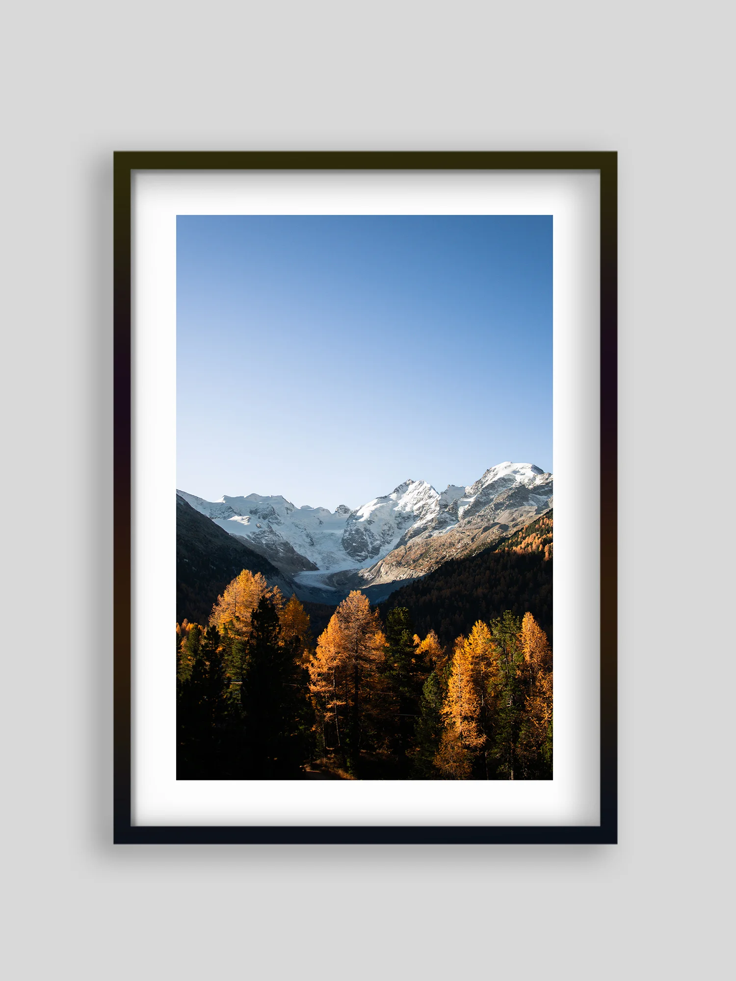 2597 - Morteratsch - CADRE