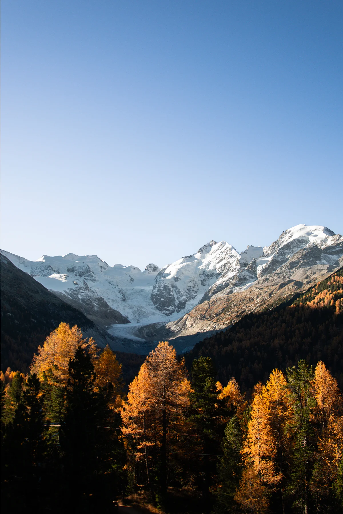 2597 - Morteratsch