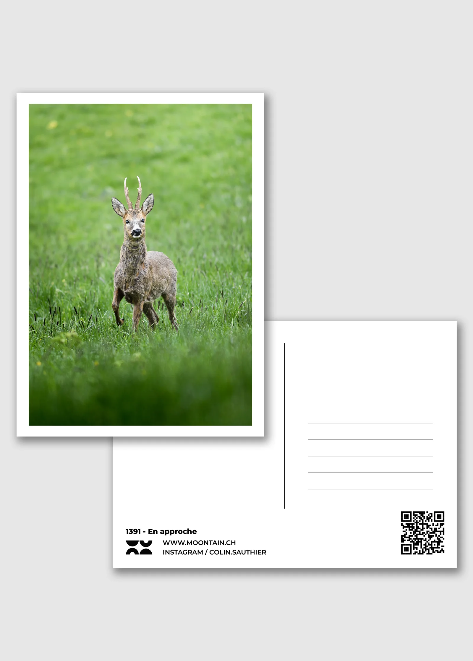 1391 - En approche - Collection