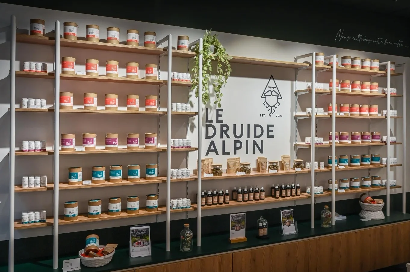 Le Druide Alpin