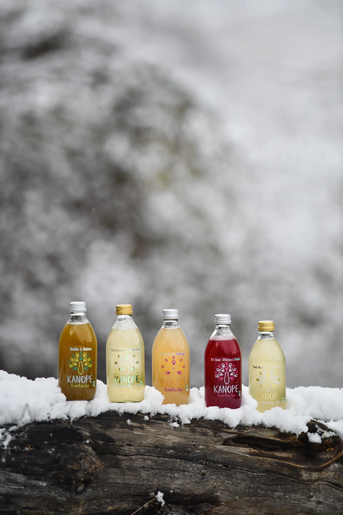 Kanope Kombucha — 7