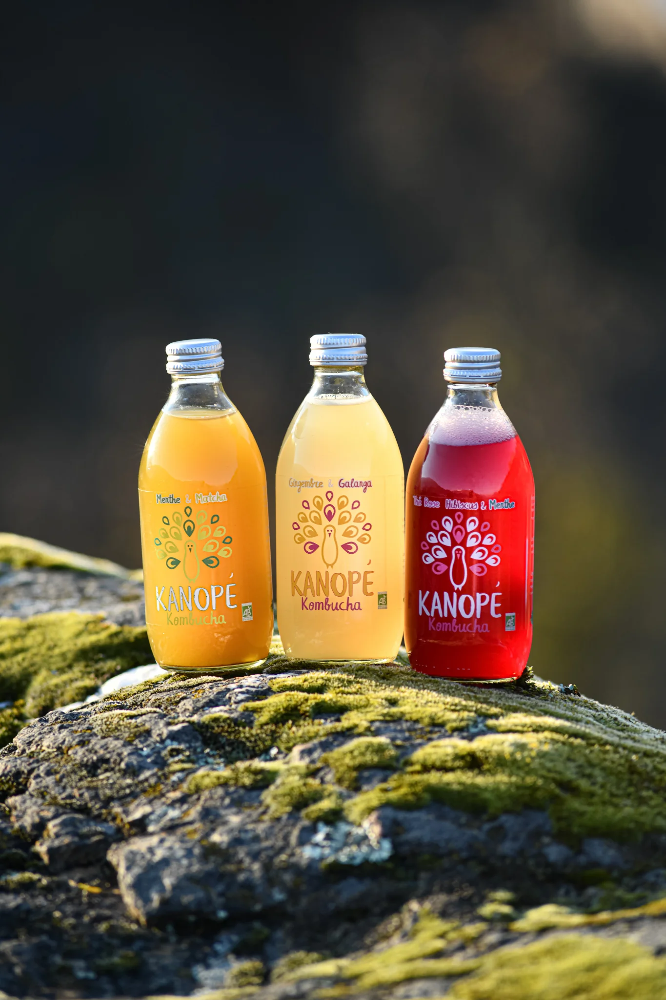 Produits | Packshot — 3